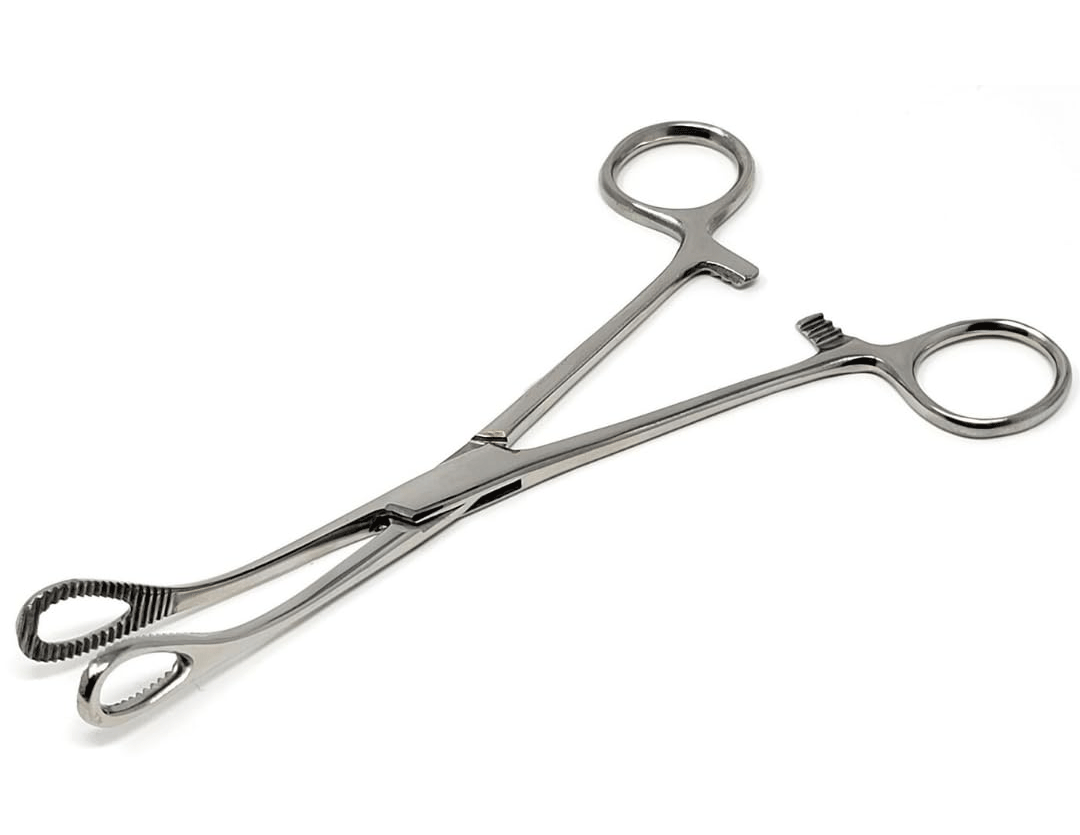 Pinza Foerster 25 cm. recta superior