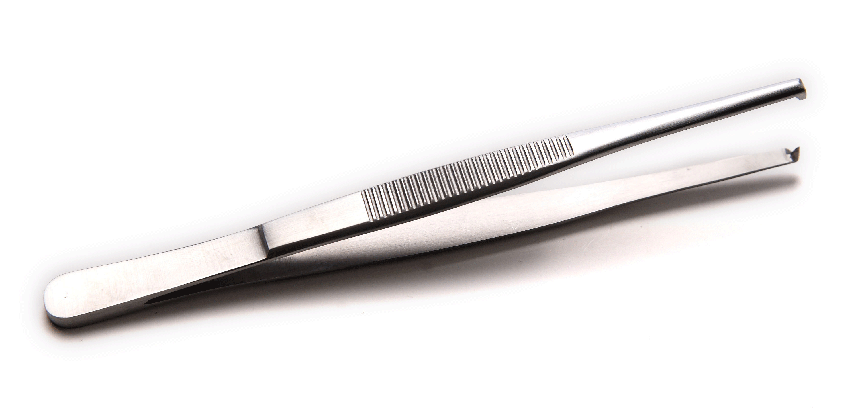 Pinza disección 14 cm. Recta con dientes. Estándar